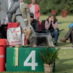 ROYAL TOY'S PEE PEE PORCELANA