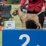 BJÖRSHULTS NEW CROSSWIND