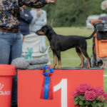 TYJANIX'S DANCING IN THE DARK