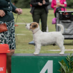 WHISTLEWOOD'S BEANS FOR BREAKFAST