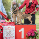  BJÖRSHULTS KEEP UP WITH ME