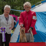 ZUE DOGGY-BOOMS KEEPS A HOT SHEILA